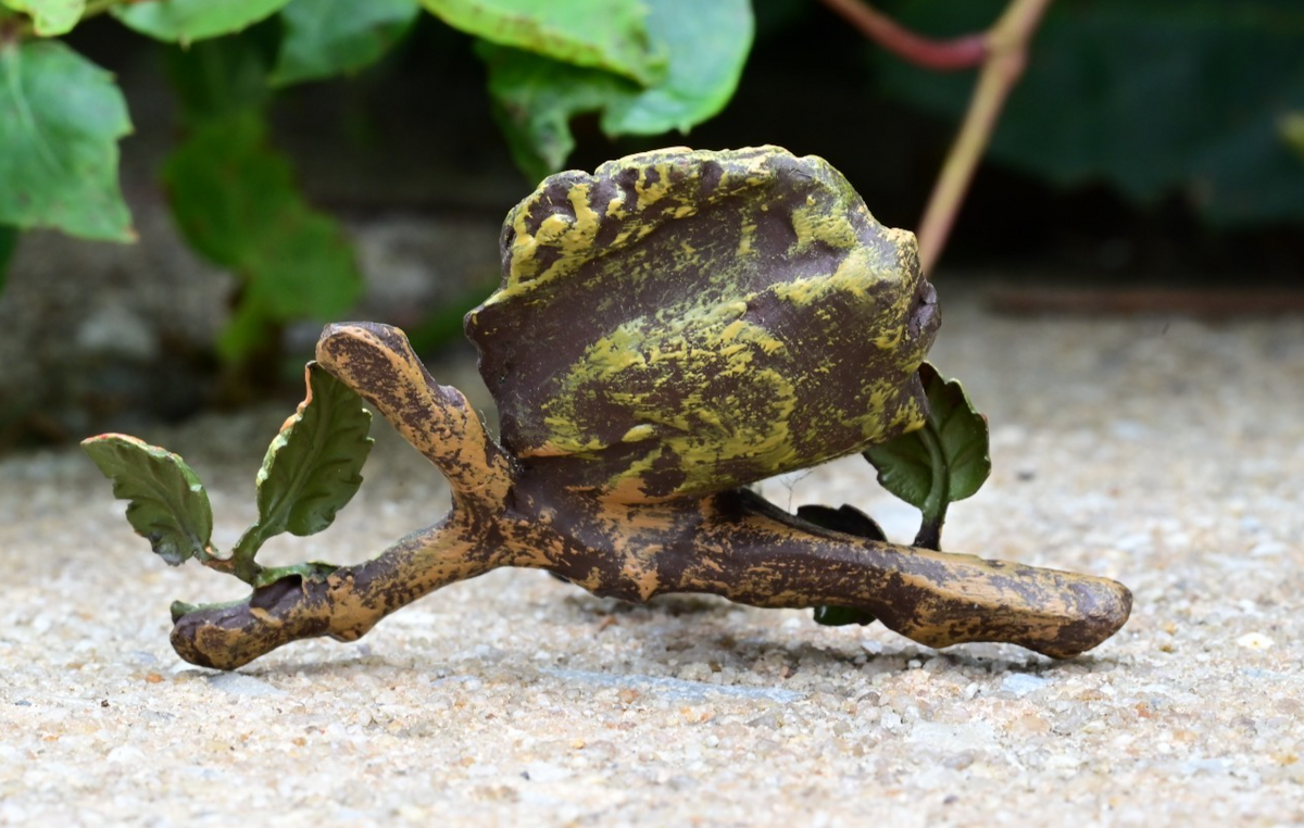 Antique Austrian Vienna Cold Painted Bronze Figure of Songbird Nest Watching8