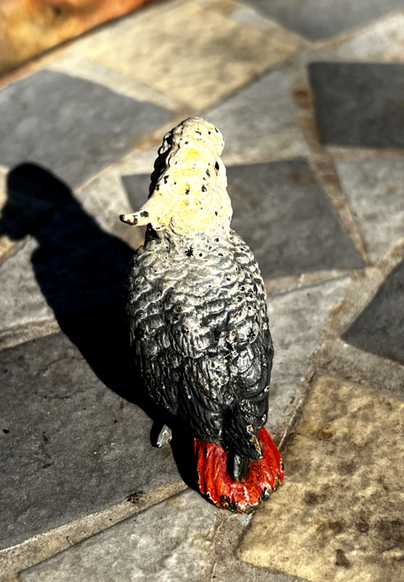 Original Antique Austrian Vienna Cold Painted Bronze Figure of Cockatoo1