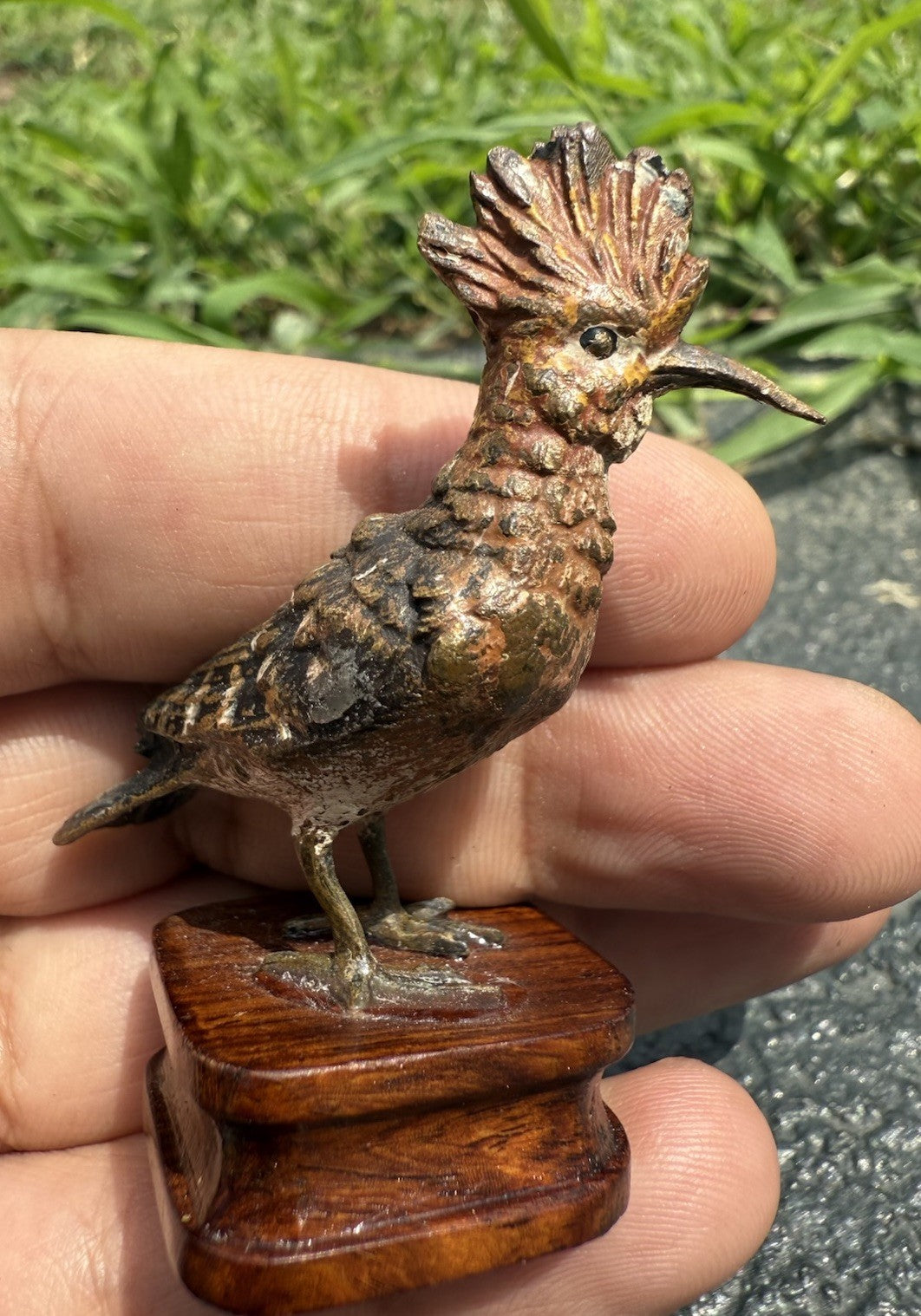 Rare Antique Austrian Vienna Cold Painted Bronze of Hoopoe Bird9