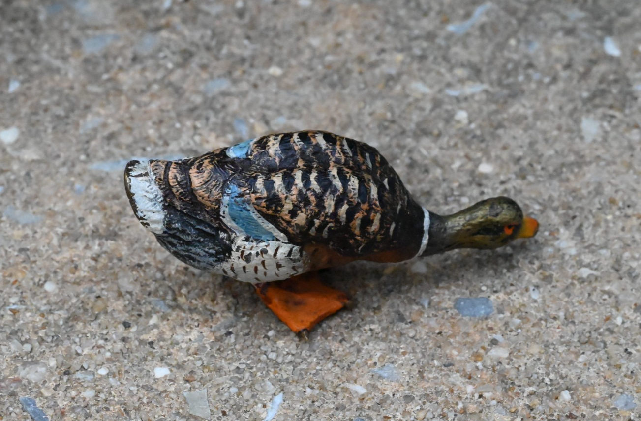 Lovely Antique Austrian Vienna Cold Painted Bronze Figure of Mallard Duck2