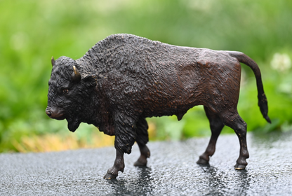 Large Antique Austrian Vienna Cold Painted Bronze Figure American Buffalo Bison0