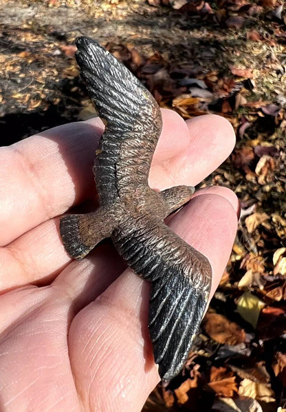 Detailed Antique Austrian Vienna Cold Painted Bronze Figure of Hawk1