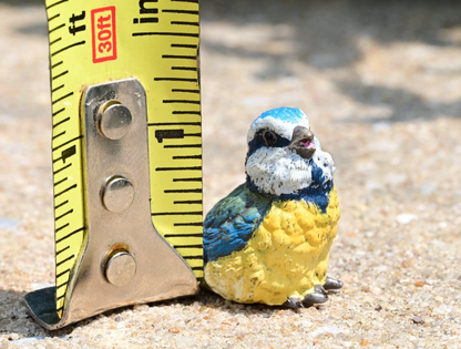 Lovely Austrian Vienna Cold Painted Bronze Figure of Blue & Yellow Tit Songbird7