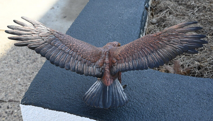Large & Rare Antique Austrian Vienna Cold Painted Bronze Eagle by Franz Bergmann2