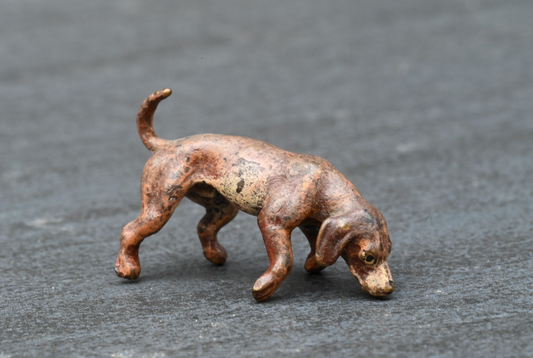 Cute Antique Austrian Vienna Cold Painted Bronze Figure of Dachshund Puppy0