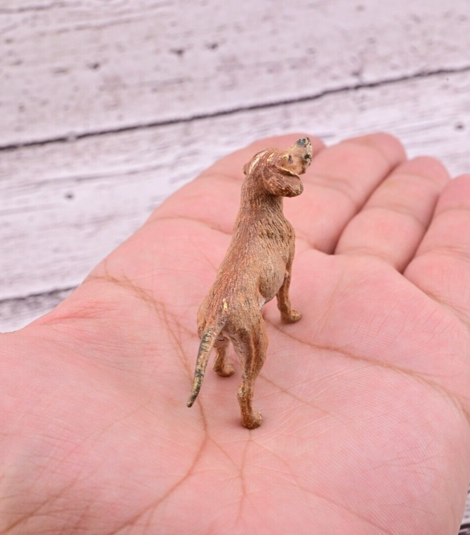 Antique 1900s Austrian Vienna Cold Painted Bronze Figure of Labrador Retriever8