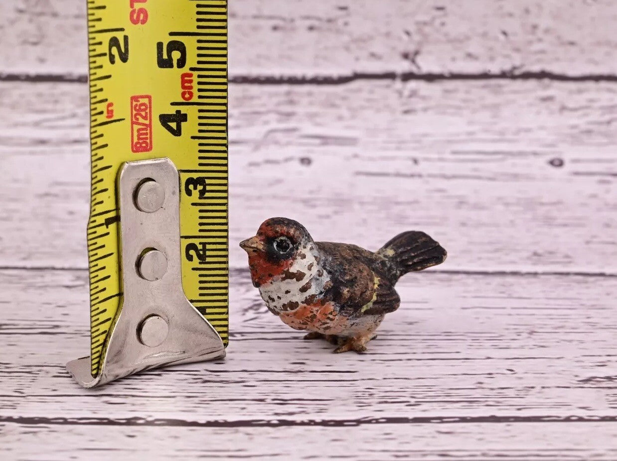 Amazing Antique Austrian Vienna Cold Painted Bronze Figure of Goldfinch11