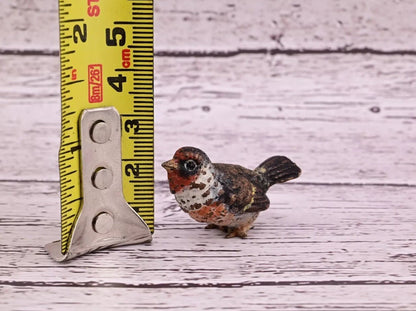 Amazing Antique Austrian Vienna Cold Painted Bronze Figure of Goldfinch11
