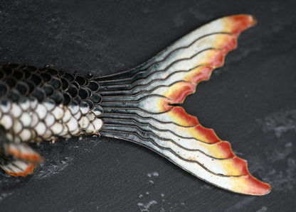 Amazing Life - Size Chinese Enameled Export Silver Articulated Koi Fish10