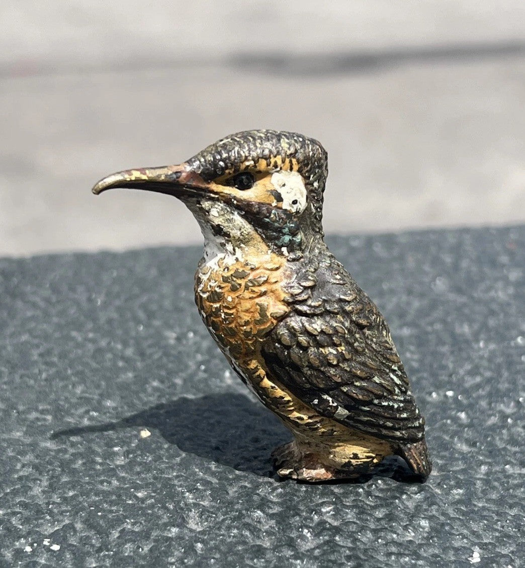 Life-Like Antique Austrian Vienna Cold Painted Bronze Figure of Kingfisher Bird4