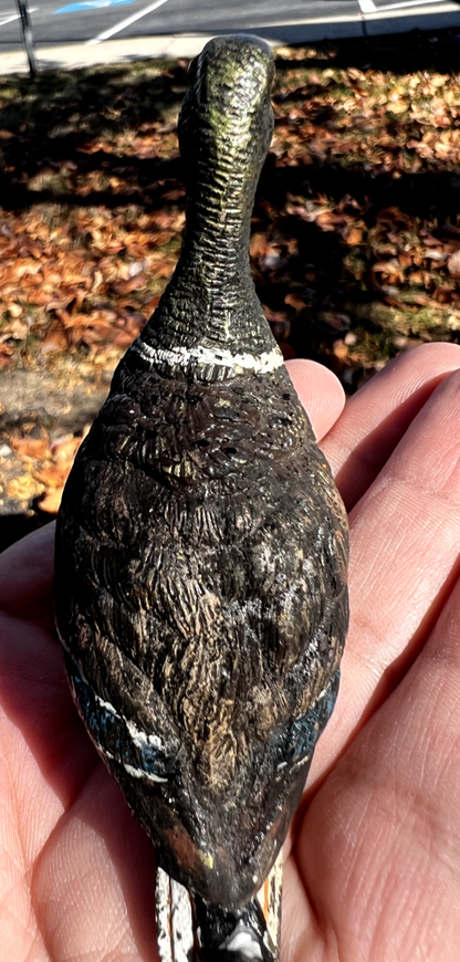 Amazing Antique Austrian Vienna Cold Painted Bronze Figure of Mallard Duck7