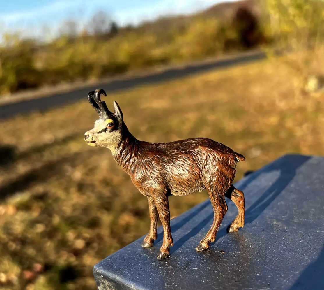 Stunning Antique Austrian Vienna Cold Painted Bronze Figure of Goat2