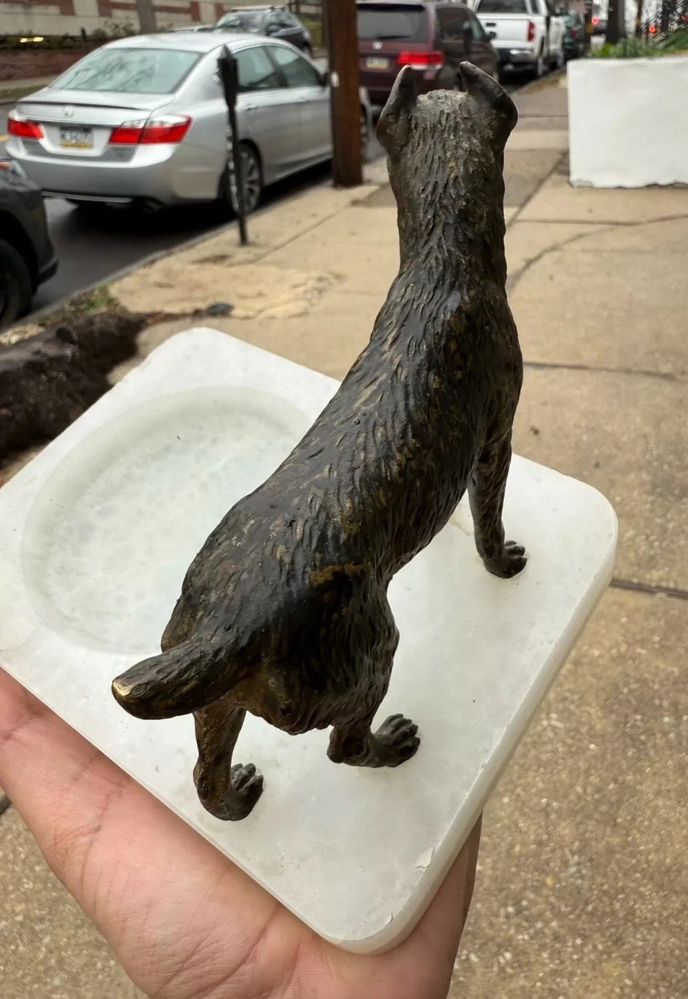 Super Detailed Antique Austrian Vienna Cold Painted Bronze Figure of Terrier Dog8