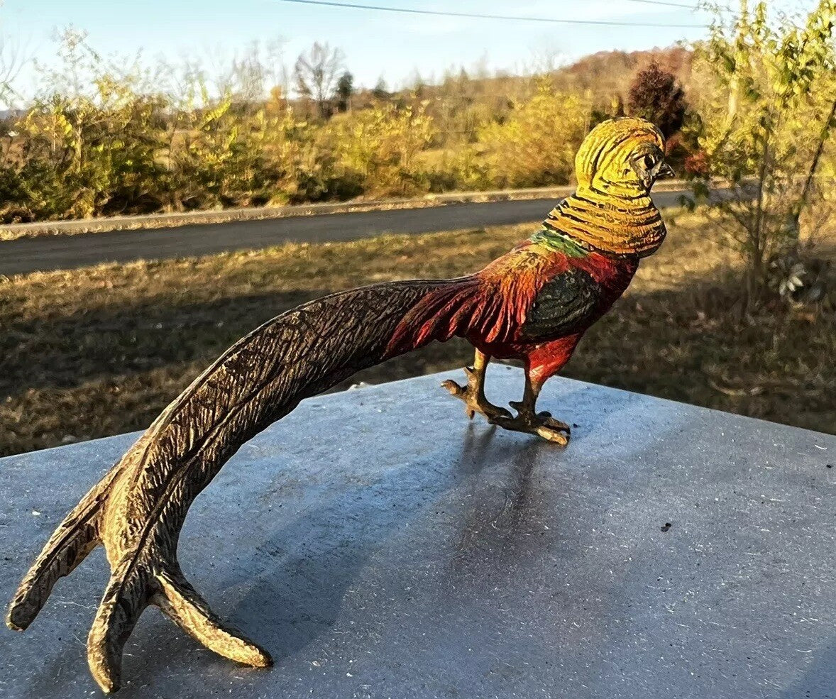 Antique Austrian Vienna Cold Painted Bronze Figure of Golden Pheasant Bird4