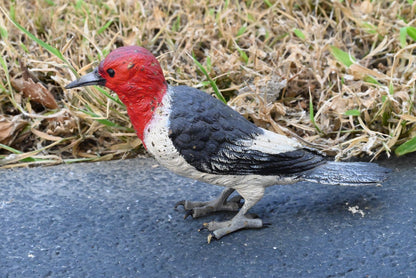 Life - Like Austrian Vienna Cold Painted Bronze Figure of Red Headed Woodpecker2