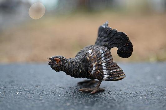 Extremely Detail Antique Cold Painted Austrian Vienna Bronze of a Wild Turkey0