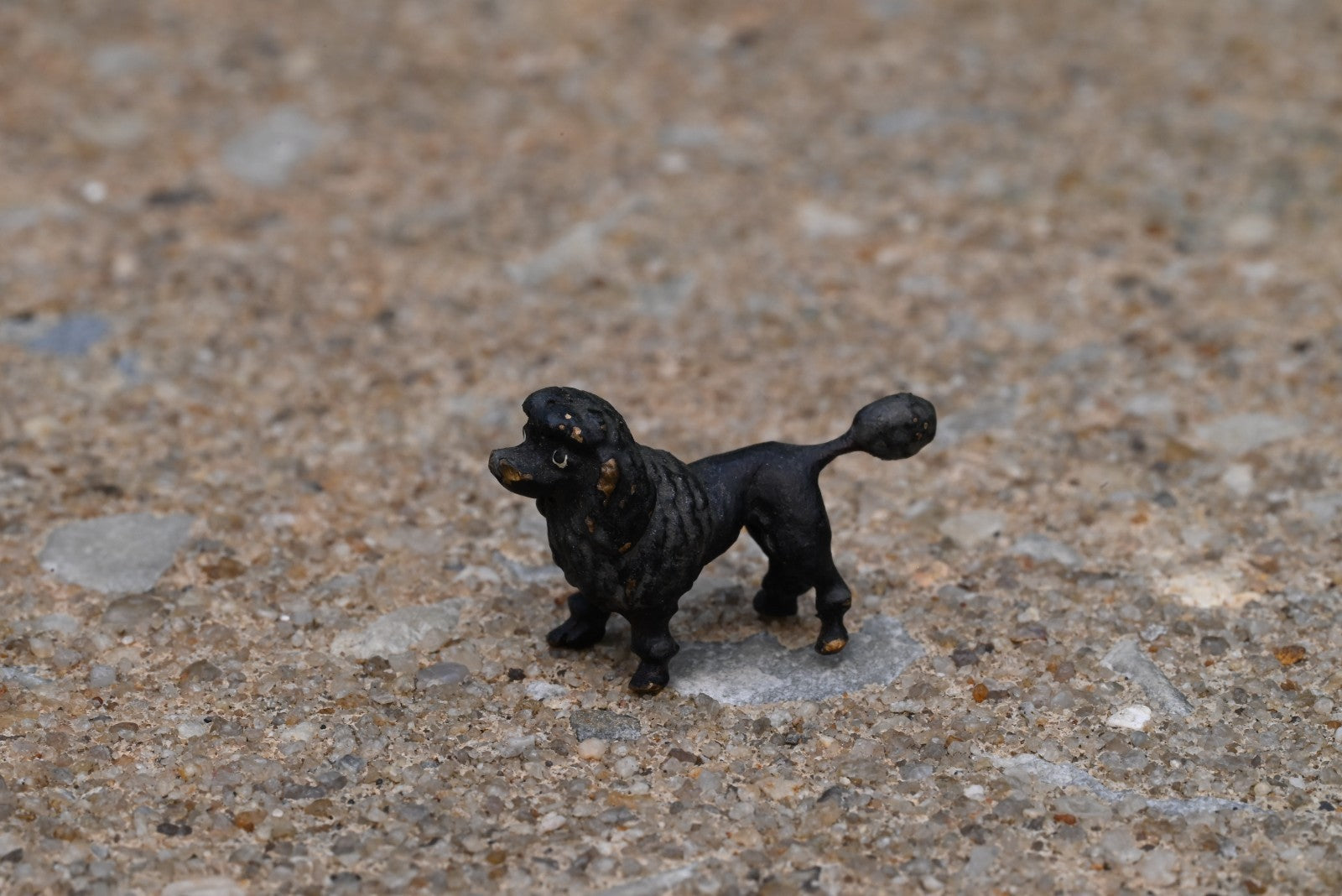 Original Antique Austrian Vienna Cold Painted Bronze Figure of Black Poodle Dog0