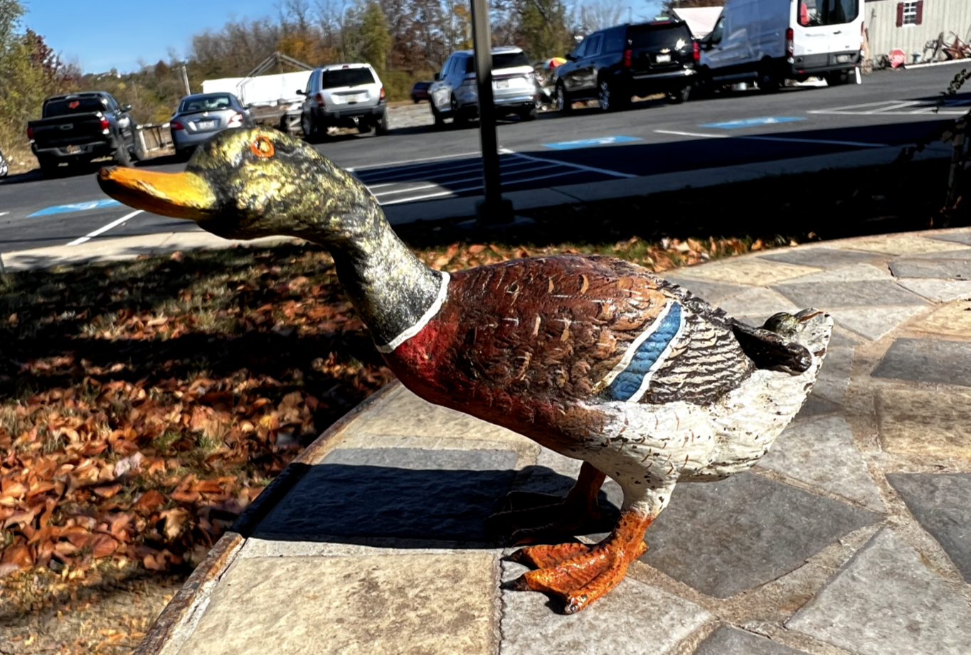 Gorgeous Antique Austrian Vienna Cold Painted Bronze Figure of Mallard Duck1