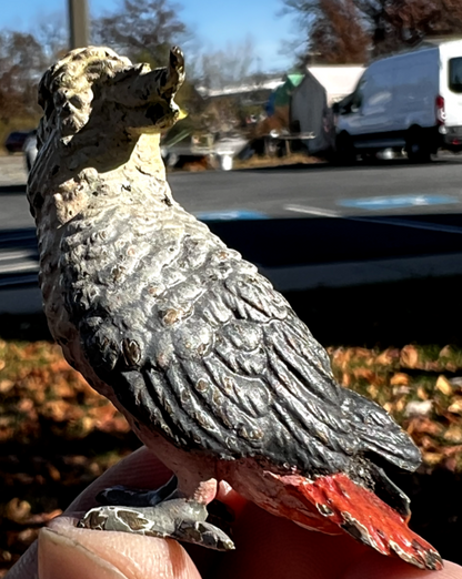 Original Antique Austrian Vienna Cold Painted Bronze Figure of Cockatoo10