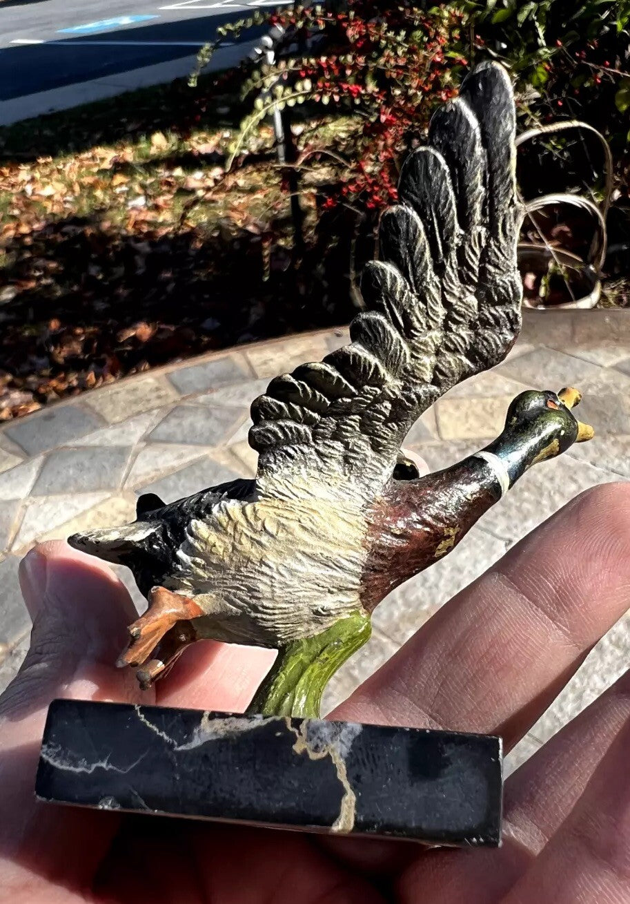 Antique Austrian Vienna Cold Painted Bronze Figure of Flying Duck8