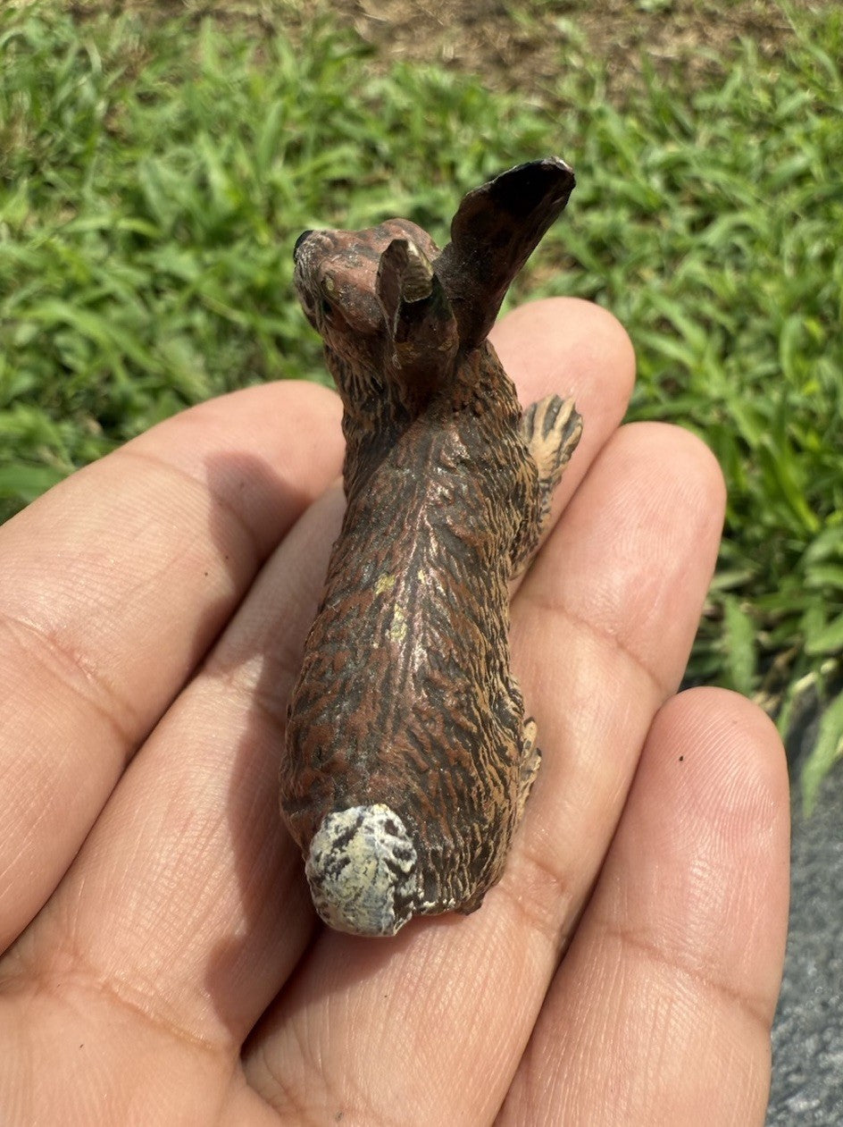 Life Like Antique Austrian Vienna Cold Painted Bronze of Brown Rabbit3