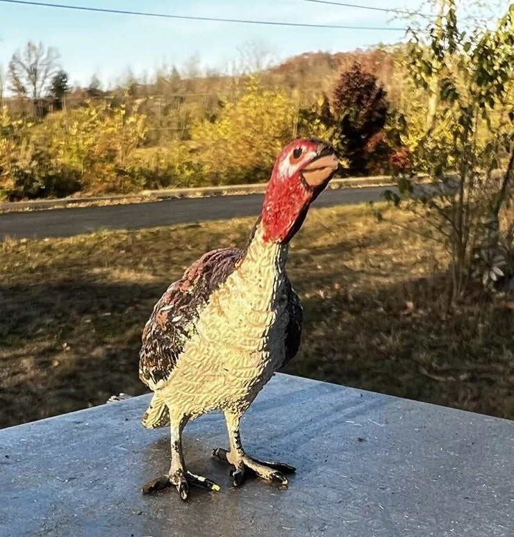Great Detailed Antique Austrian Vienna Cold Painted Bronze Figure of Turkey2