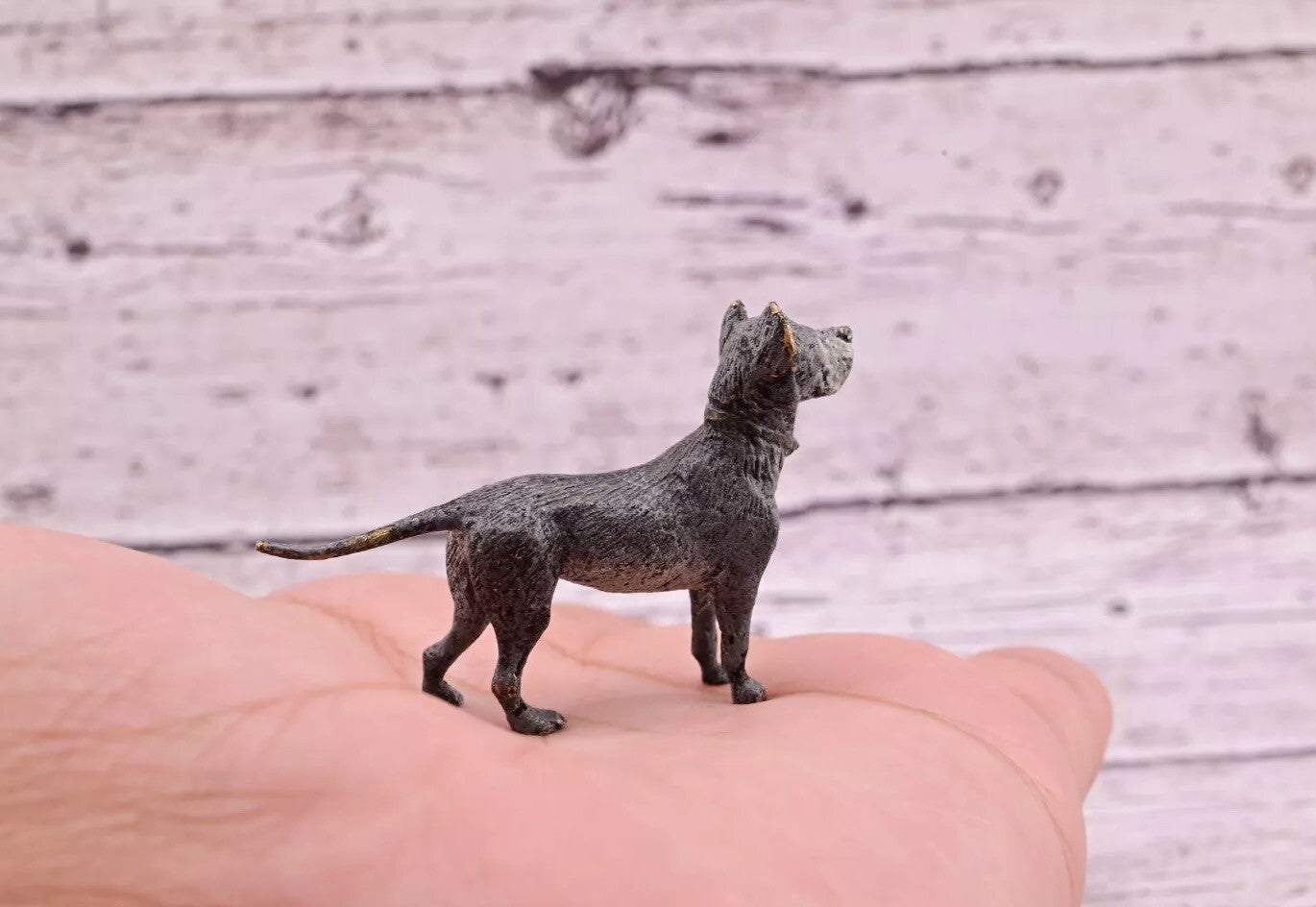 Early Antique 1900s Austrian Vienna Cold Painted Bronze Figure of Great Dane Dog4