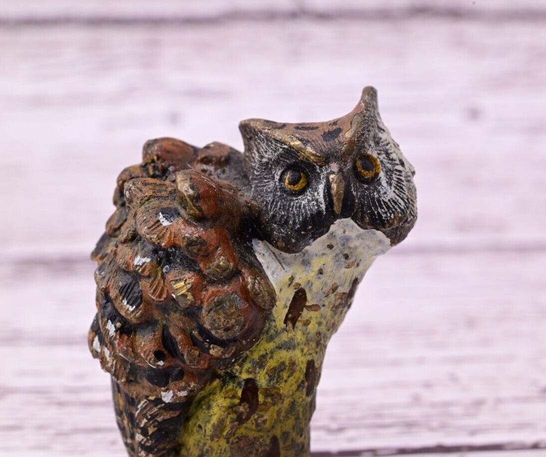 Well Detailed Antique Austrian Vienna Cold Painted Bronze Figure of Owl5