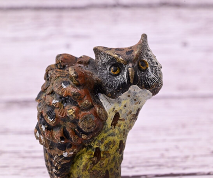 Well Detailed Antique Austrian Vienna Cold Painted Bronze Figure of Owl5