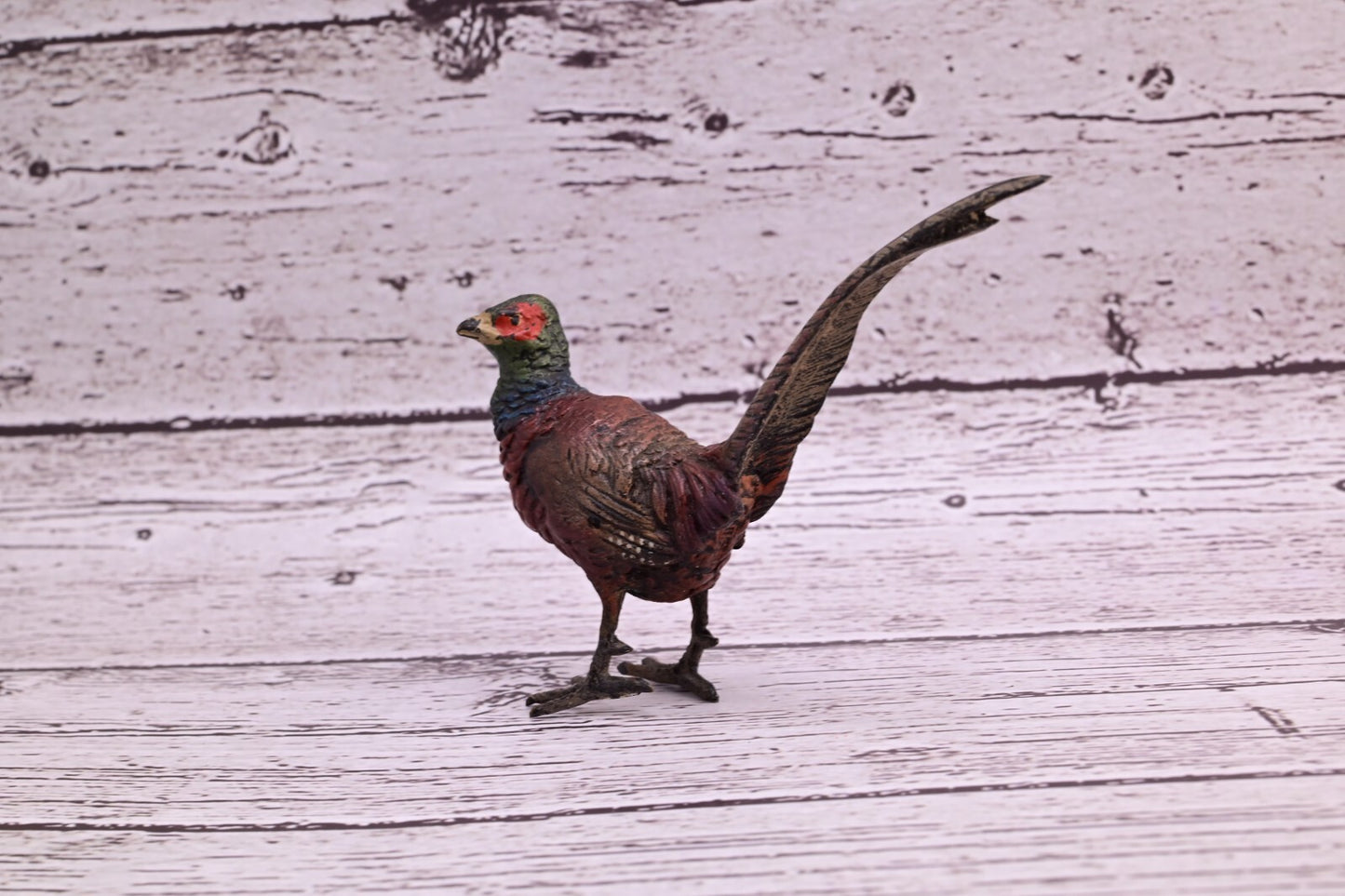 Stunning Antique Austrian Vienna Cold Painted Bronze of Ring Neck Pheasant5