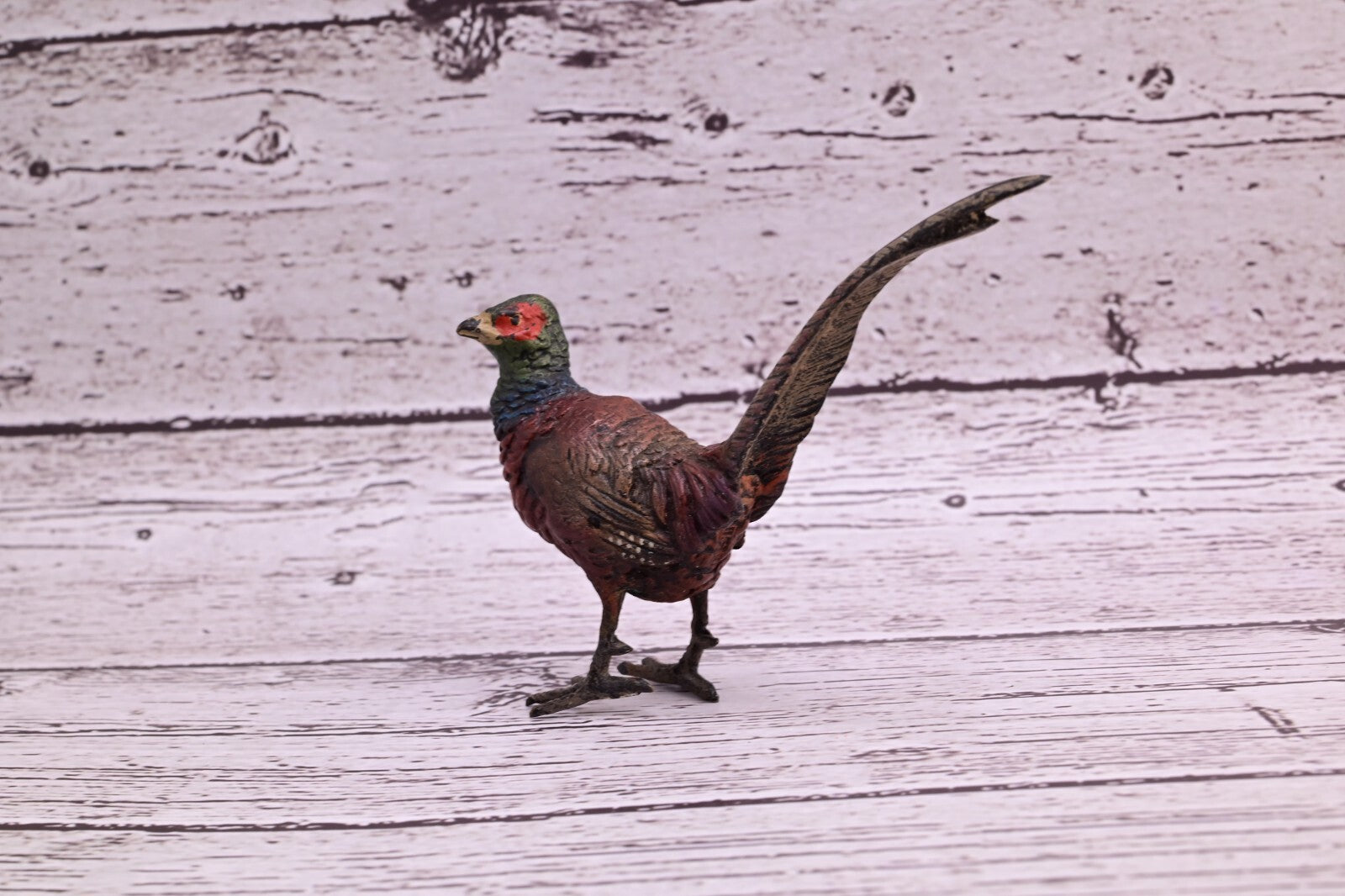Stunning Antique Austrian Vienna Cold Painted Bronze of Ring Neck Pheasant5