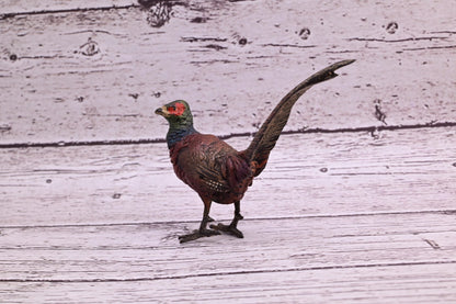 Stunning Antique Austrian Vienna Cold Painted Bronze of Ring Neck Pheasant5