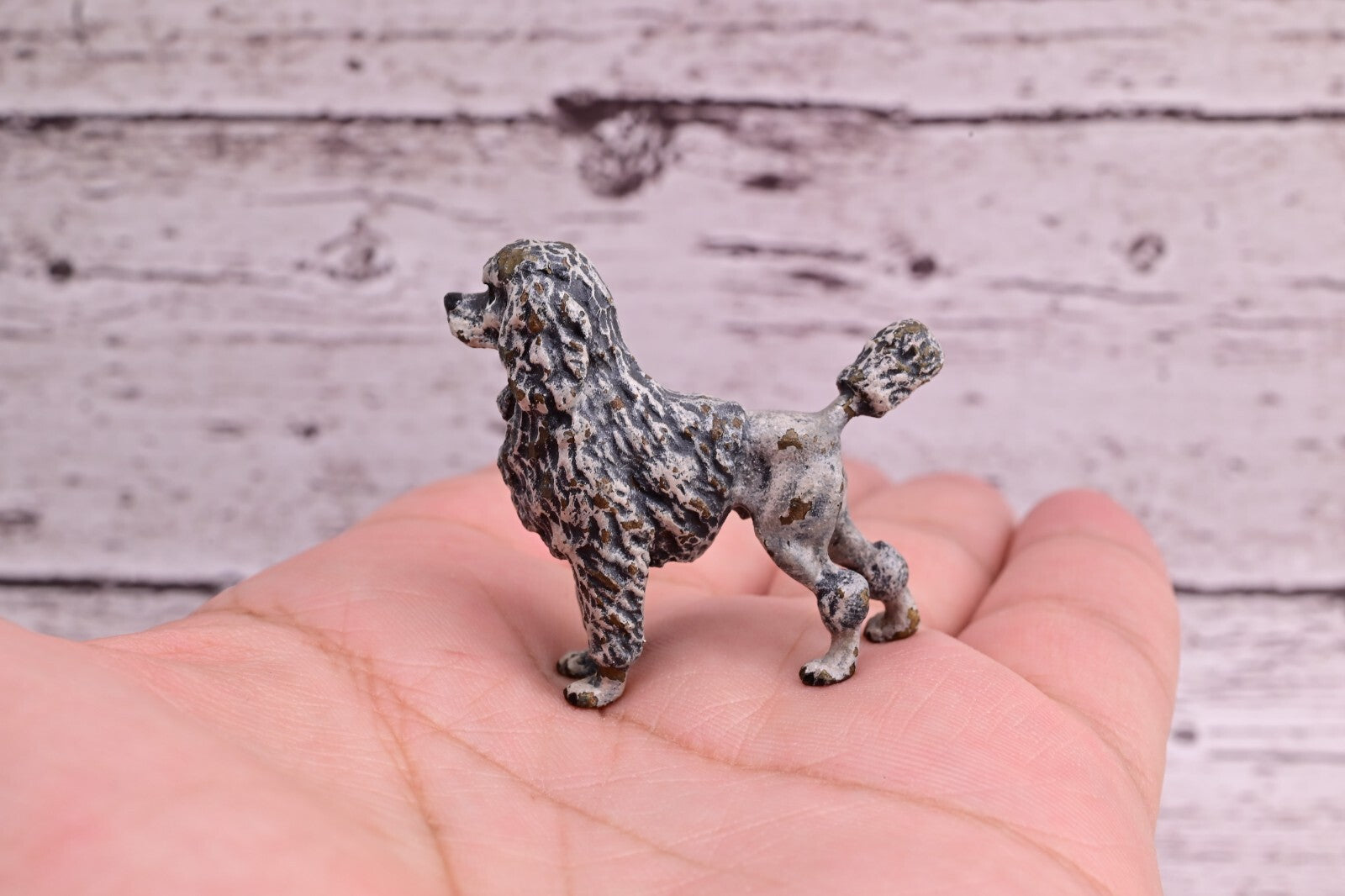 Antique Early 1900s Austrian Vienna Cold Painted Solid Bronze Gray Poodle ￼3