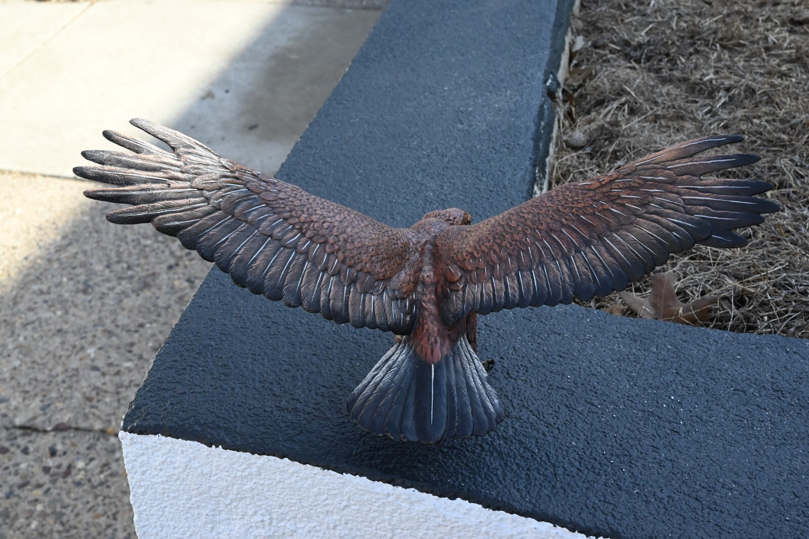 Large & Rare Antique Austrian Vienna Cold Painted Bronze Eagle by Franz Bergmann3