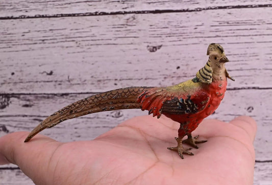 1900s Detailed Antique Austrian Vienna Cold Painted Bronze of Gold Pheasant0