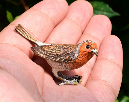 Gorgeous Austrian Vienna Cold Painted Bronze Bird Figure of European Robin2