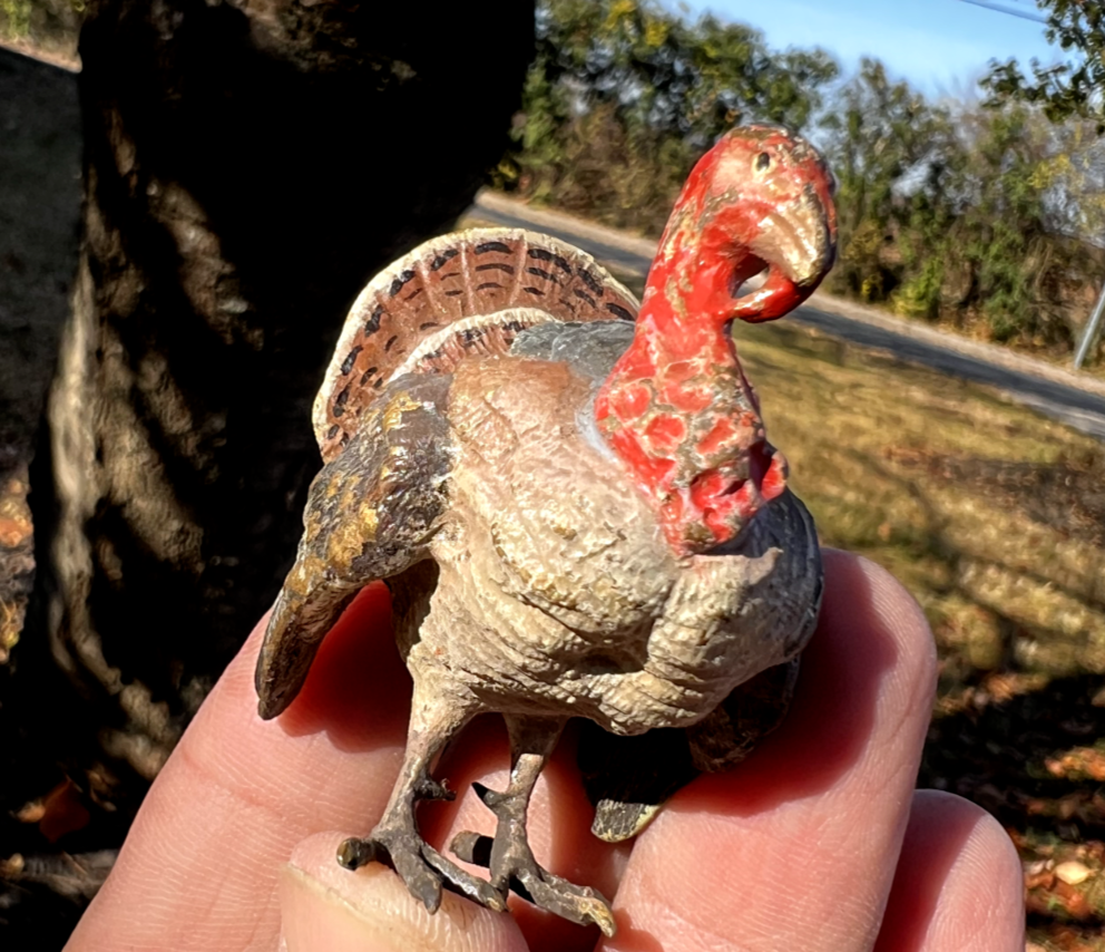 Beautiful  Antique Austrian Vienna Cold Painted Bronze Figure of Turkey2