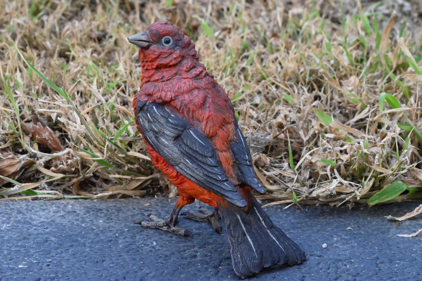 Austrian Vienna Cold Painted Bronze Figure of Pine Grosbeak or Red-Crested Finch1