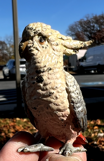Original Antique Austrian Vienna Cold Painted Bronze Figure of Cockatoo9