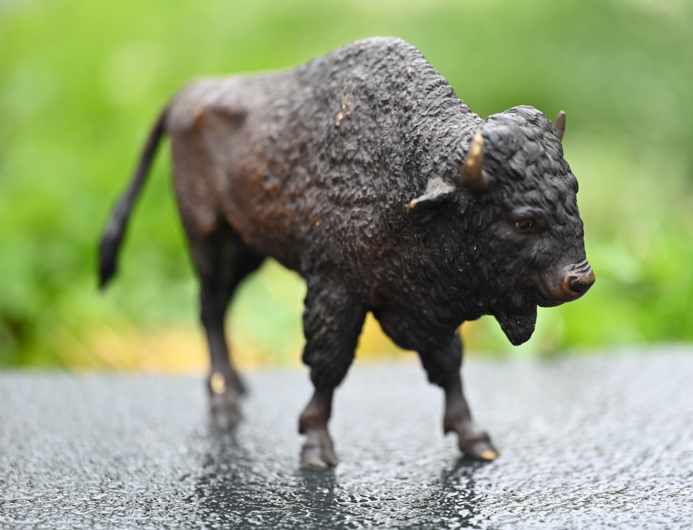 Large Antique Austrian Vienna Cold Painted Bronze Figure American Buffalo Bison4