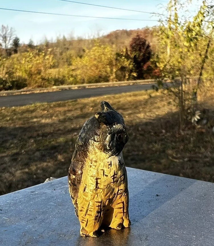 Amazing Antique Austrian Vienna Cold Painted Bronze Figure of Owl2