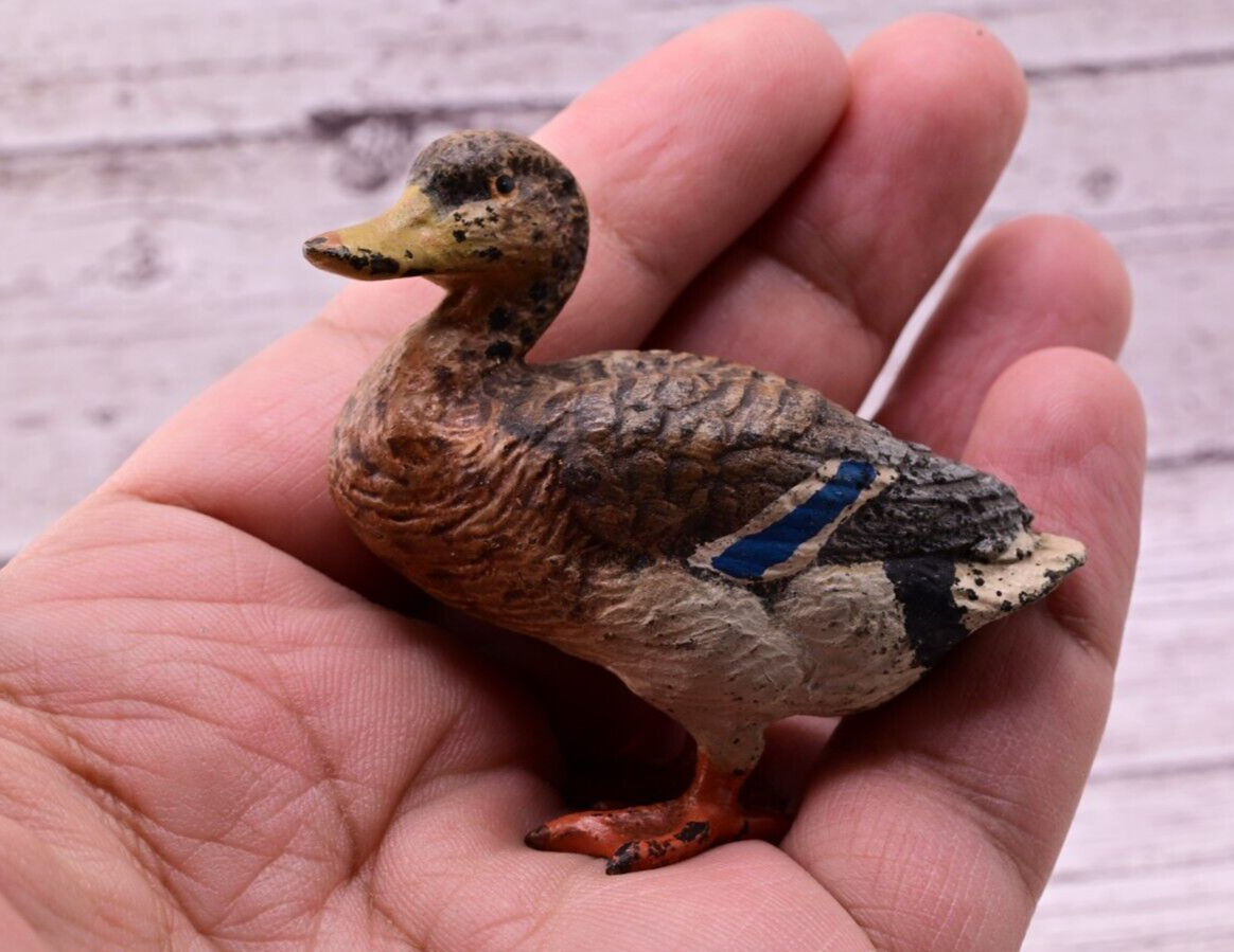 Gorgeous Antique Austrian Vienna Cold Painted Bronze Figure of Mallard Duck5
