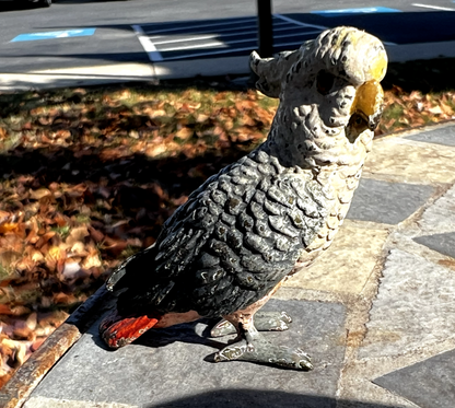 Original Antique Austrian Vienna Cold Painted Bronze Figure of Cockatoo3