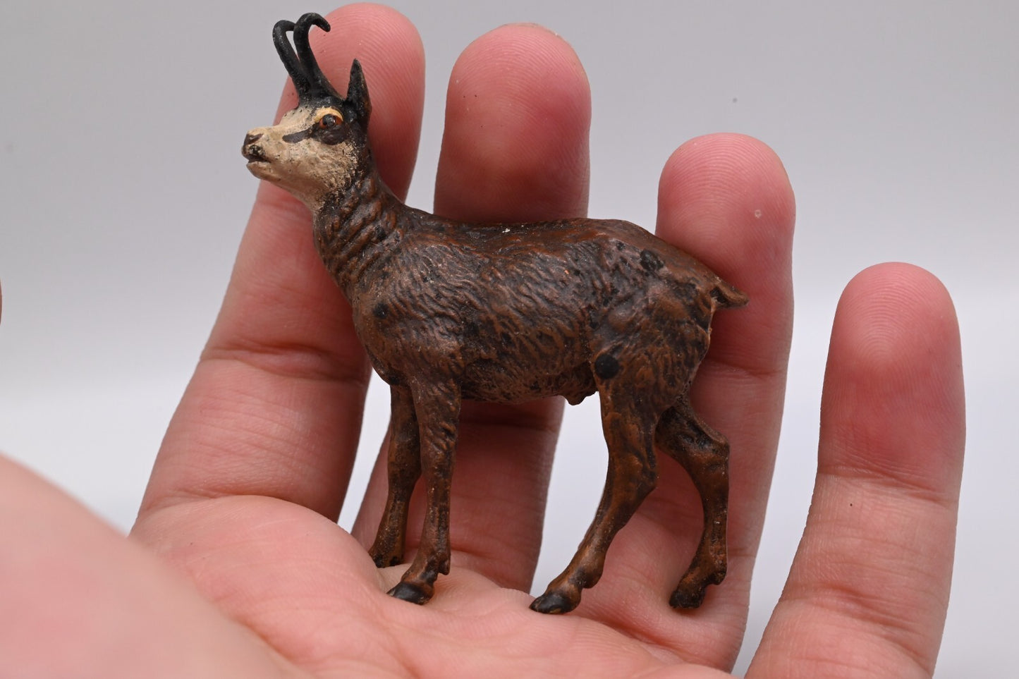 Life-like Antique Austrian Vienna Cold Painted Bronze Figure of Chamois Deer6