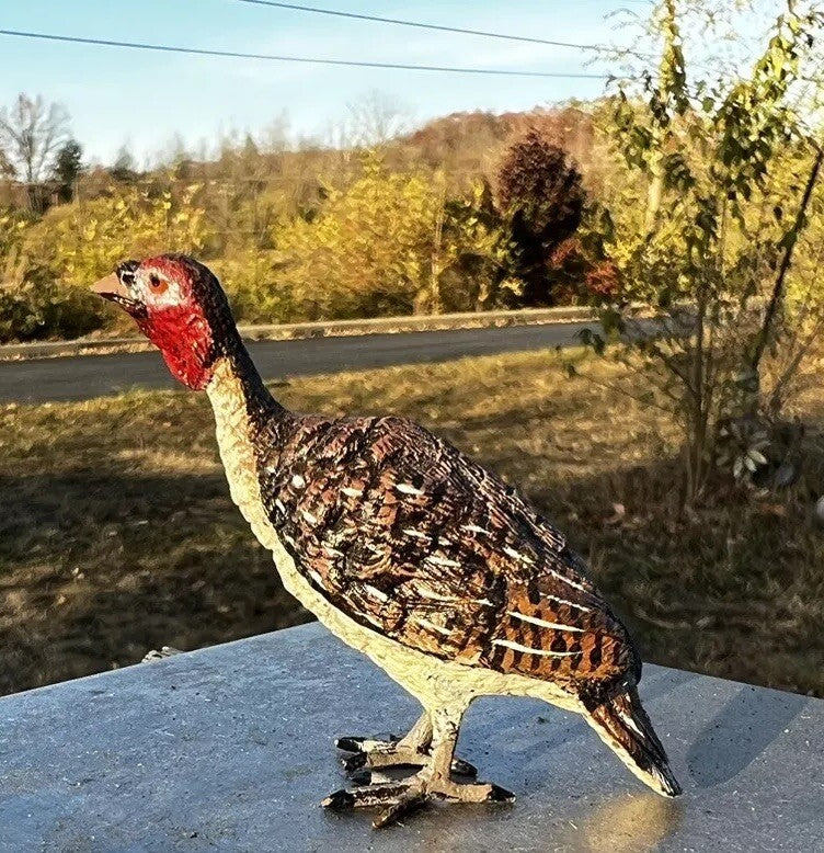 Great Detailed Antique Austrian Vienna Cold Painted Bronze Figure of Turkey5