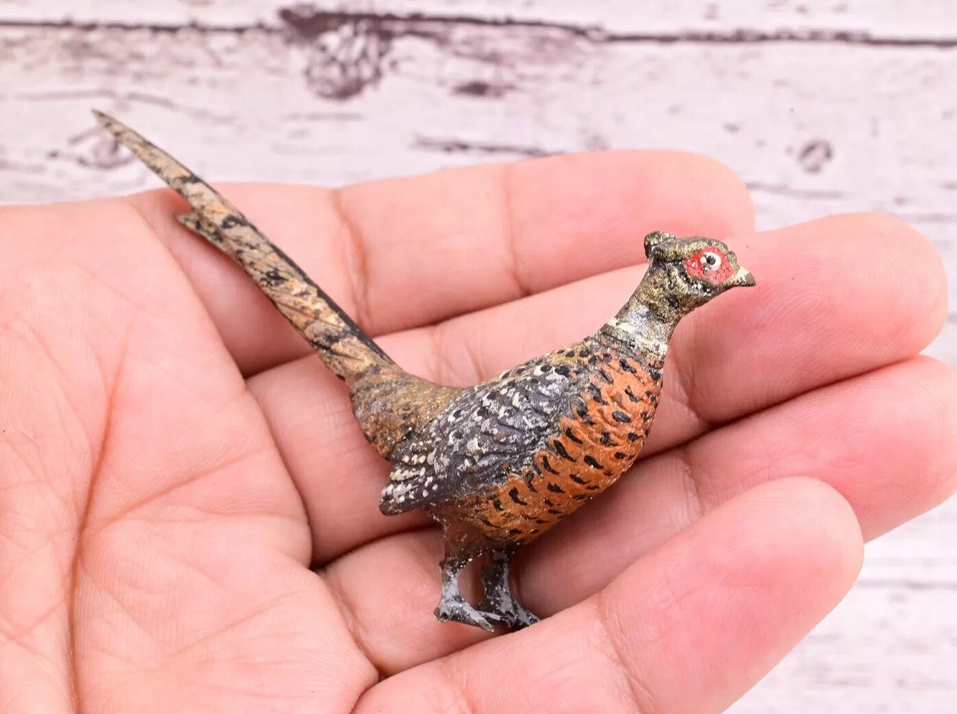 Amazing Antique Austrian Vienna Cold Painted Bronze Figure of Ring Neck Pheasant8