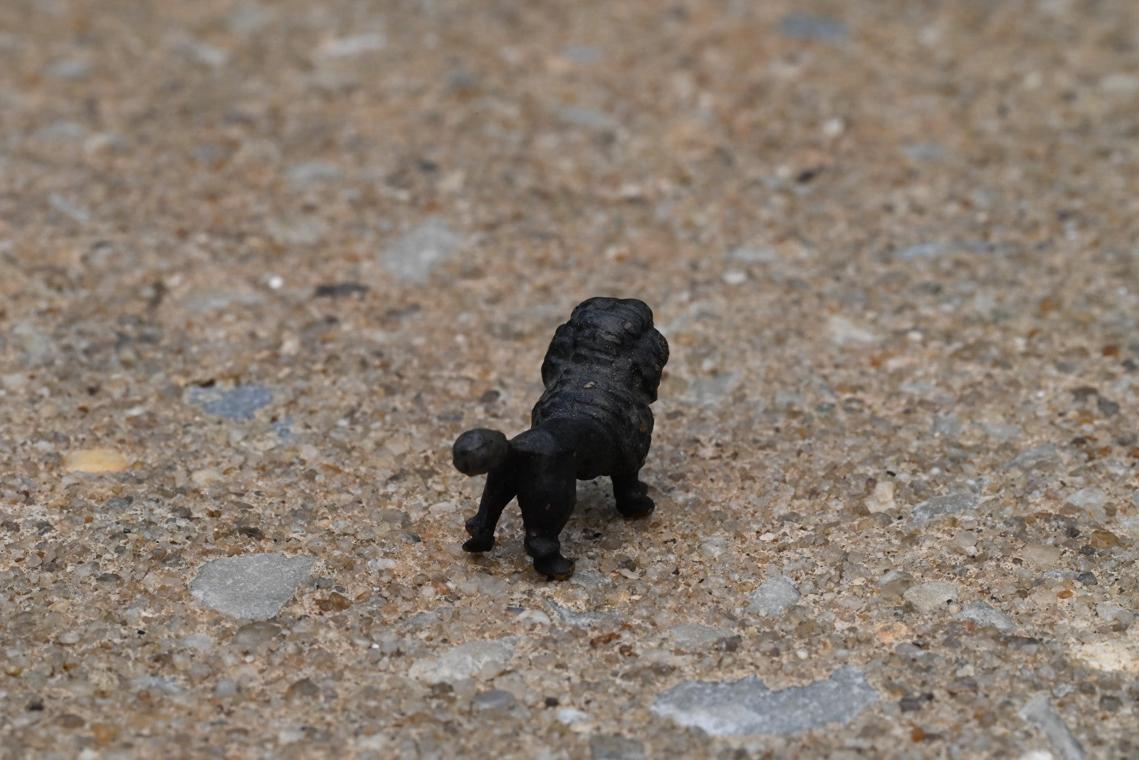 Original Antique Austrian Vienna Cold Painted Bronze Figure of Black Poodle Dog3