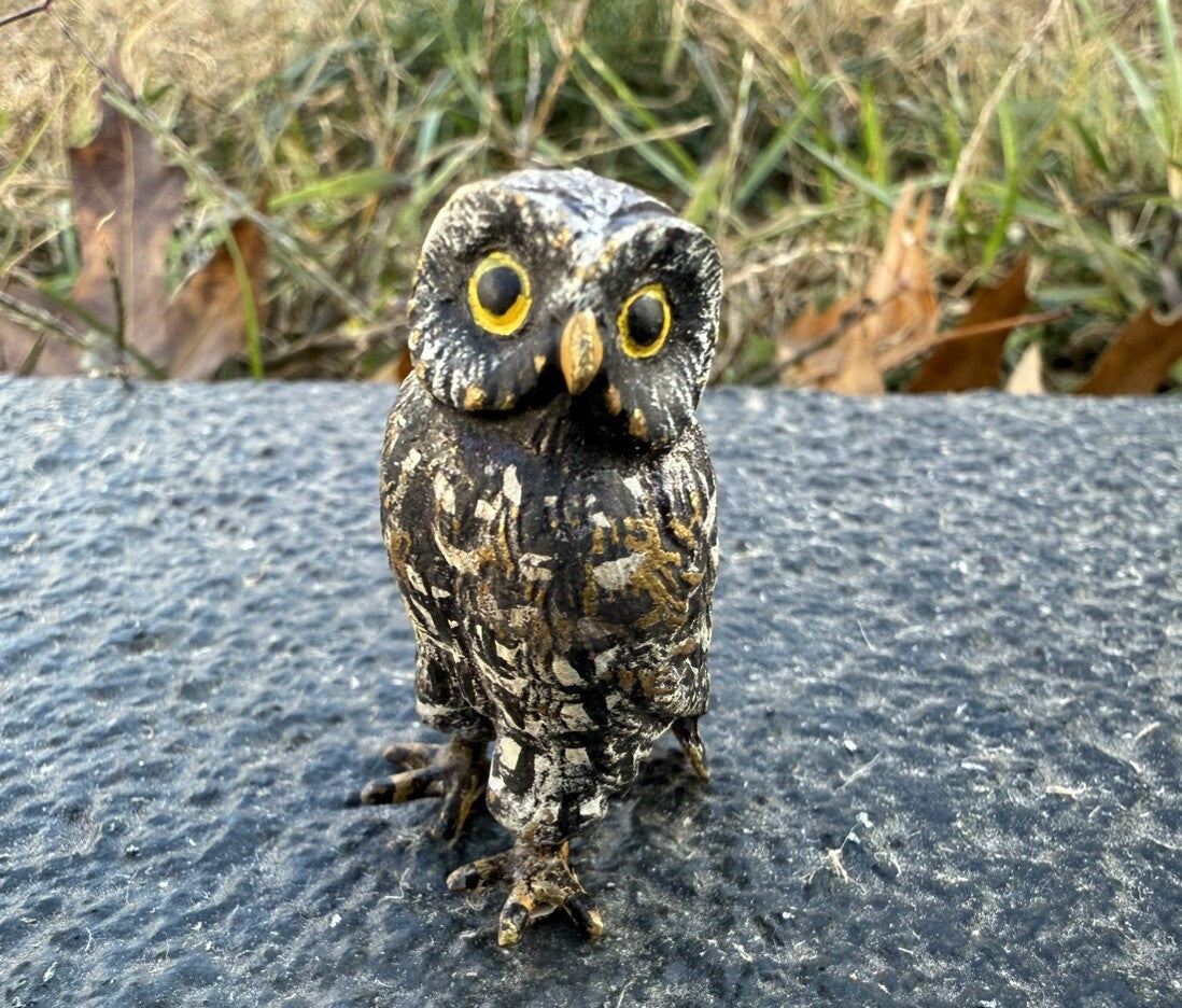 Amazing Antique Austrian Vienna Cold Painted Bronze Figure of Owl5