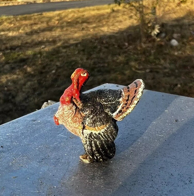 Antique Austrian Vienna Cold Painted Bronze Figure of Turkey2