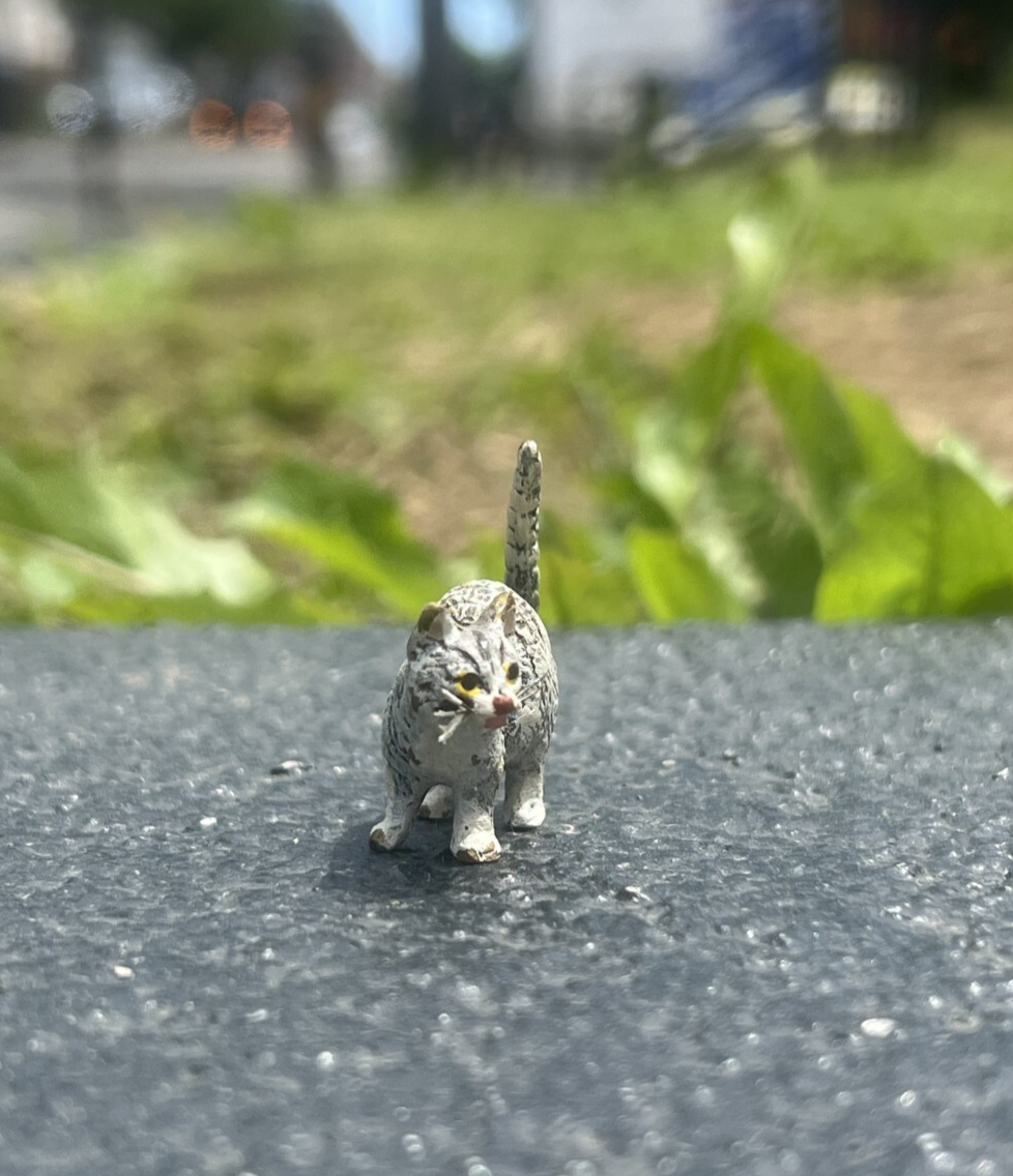 Cute Austrian Vienna Cold Painted Bronze Figure of a Small Standing Cat0